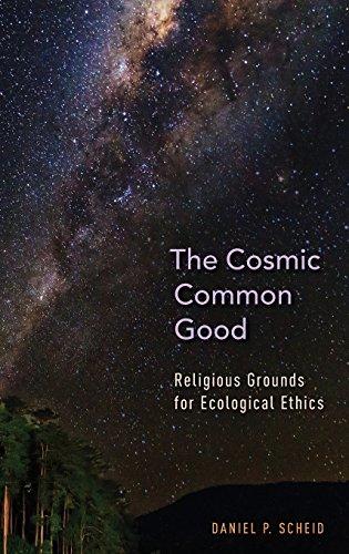 Book The Cosmic Common Good: Religious Grounds for Ecological Ethics free