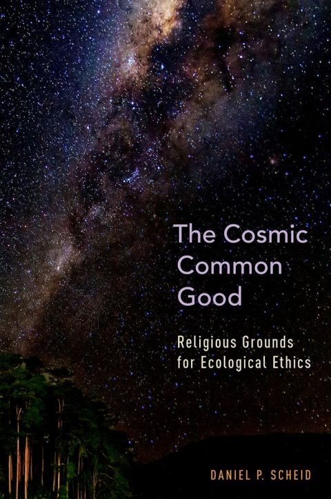 Book The Cosmic Common Good: Religious Grounds for Ecological Ethics free