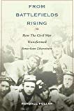 Book From Battlefields Rising: How The Civil War Transformed American Literature free