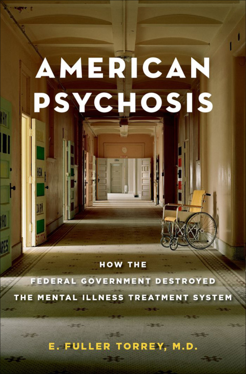 Book American Psychosis: How the Federal Government Destroyed the Mental Illness Treatment System free