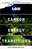 Book Low Carbon Energy Transitions: Turning Points in National Policy and Innovation free