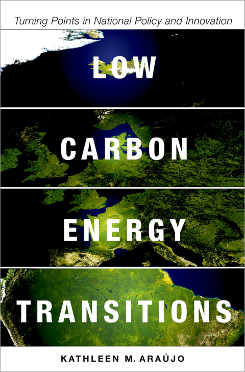 Book Low Carbon Energy Transitions: Turning Points in National Policy and Innovation free