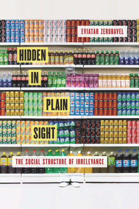 Book Hidden in Plain Sight: The Social Structure of Irrelevance free