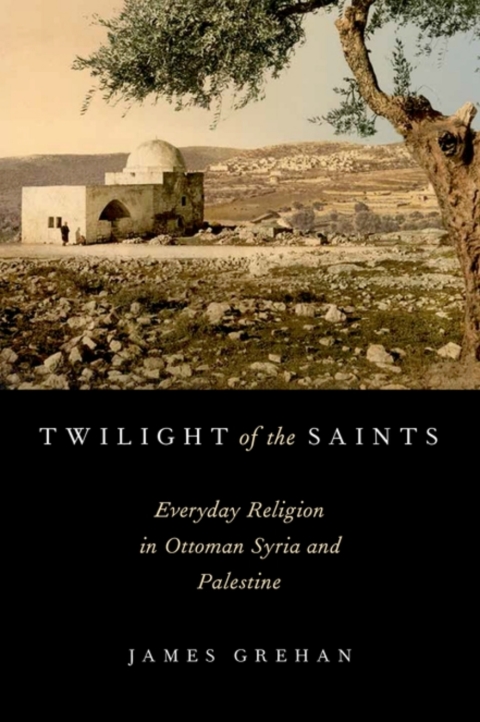 Book Twilight of the Saints: Everyday Religion in Ottoman Syria and Palestine free