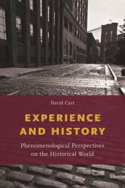 Book Experience and History: Phenomenological Perspectives on the Historical World free