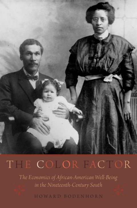 Book The Color Factor: The Economics of African-American Well-Being in the Nineteenth-Century South (National Bureau of Economic Research) free