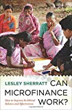 Book Can microfinance work?: how to improve its ethical balance and effectiveness free