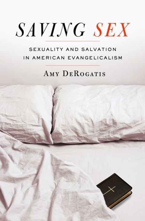 Book Saving Sex: Sexuality and Salvation in American Evangelicalism free
