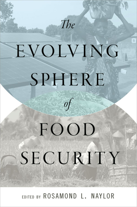 Book The Evolving Sphere of Food Security free