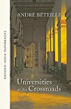 Book Universities at the Crossroads (Oxford India Paperbacks) free
