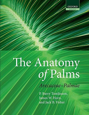 Book The Anatomy of Palms: Arecaceae - Palmae free