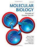 Book Molecular Biology: Principles of Genome Function free