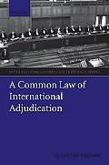 Book A Common Law of International Adjudication (International Courts and Tribunals Series) free
