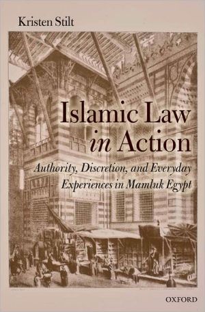 Book Islamic Law in Action: Authority, Discretion, and Everyday Experiences in Mamluk Egypt free