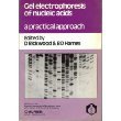 Book Gel Electrophoresis of Nucleic Acids: A Practical Approach (The Practical Approach Series, 64) free