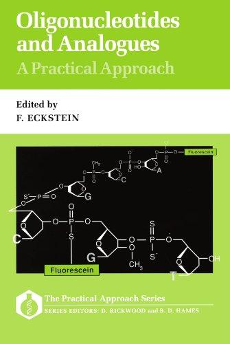 Book Oligonucleotides and Analogues: A Practical Approach (Practical Approach Series, 83) free