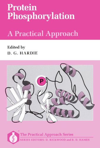 Book Protein Phosphorylation: A Practical Approach (Practical Approach Series) free