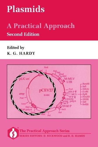 Book Plasmids: A Practical Approach (Practical Approach Series, 138) free