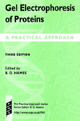 Book Gel Electrophoresis of Proteins: A Practical Approach (Practical Approach Series (197)) free