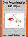 Book DNA Recombination and Repair (Frontiers in Molecular Biology, 22) free