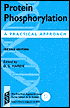 Book Protein Phosphorylation: A Practical Approach (Practical Approach Series) free