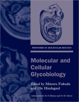 Book Molecular and Cellular Glycobiology (Frontiers in Molecular Biology) free