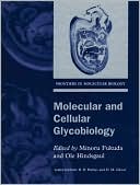 Book Molecular and Cellular Glycobiology (Frontiers in Molecular Biology) (Frontiers in Molecular Biology, 30) free