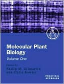 Book Molecular Plant Biology Volume 1 free