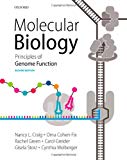 Book Molecular Biology: Principles of Genome Function free