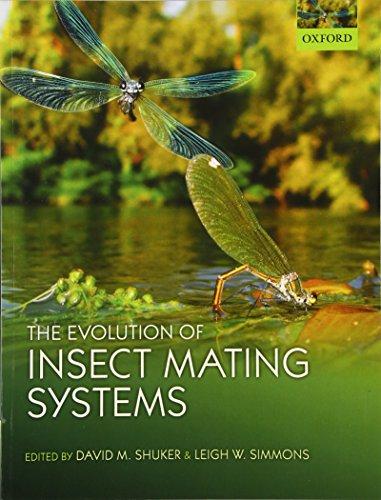Book The Evolution of Insect Mating Systems free
