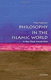 Book Philosophy in the Islamic World: A Very Short Introduction (Very Short Introductions) free