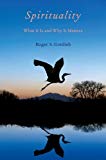 Book Spirituality: What It Is and Why It Matters free