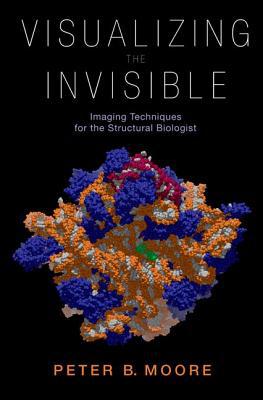 Book Visualizing the Invisible: Imaging Techniques for the Structural Biologist free