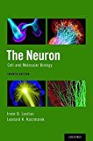 Book The Neuron: Cell and Molecular Biology free