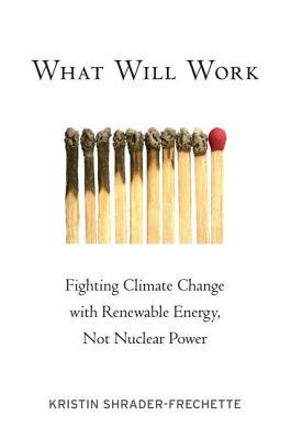 Book What Will Work: Fighting Climate Change with Renewable Energy, Not Nuclear Power (Environmental Ethics and Science Policy Series) free