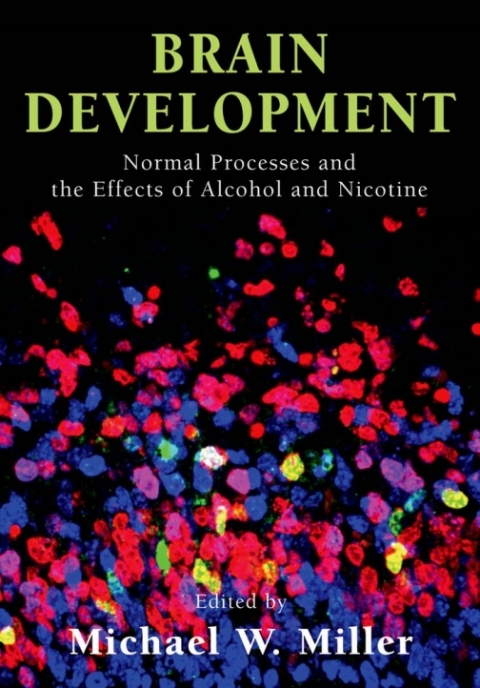 Book Brain Development free