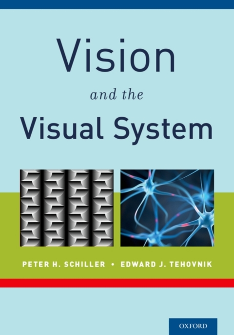 Book Vision and the Visual System free
