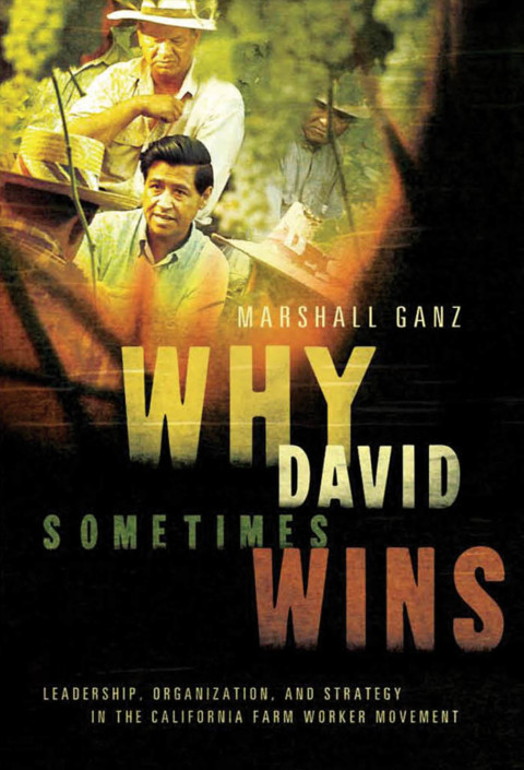 Book Why David Sometimes Wins: Leadership, Organization, and Strategy in the California Farm Worker Movement free