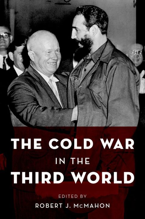 Book The Cold War in the Third World (Reinterpreting History: How Historical Assessments Change over Time) free