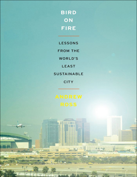 Book Bird on Fire: Lessons from the World's Least Sustainable City free