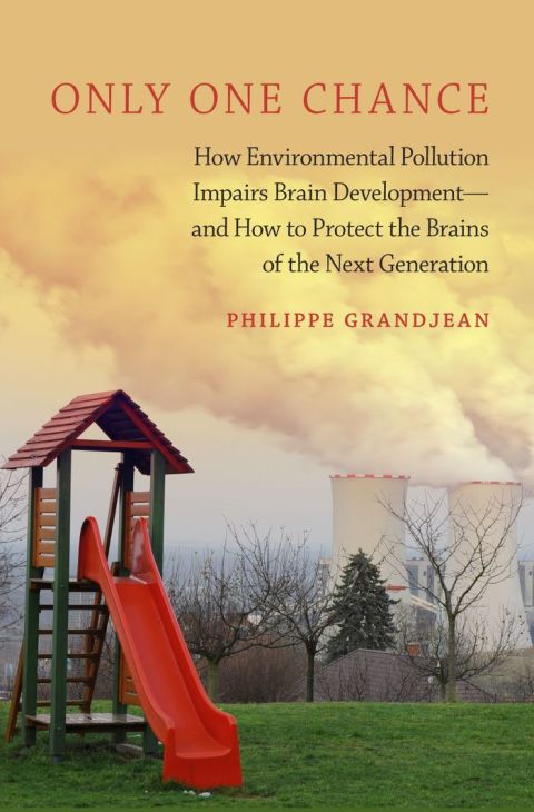 Book Only One Chance: How Environmental Pollution Impairs Brain Development -- and How to Protect the Brains of the Next Generation (Environmental Ethics and Science Policy Series) free