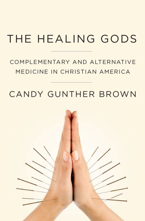 Book The Healing Gods: Complementary and Alternative Medicine in Christian America free