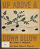 Book Up Above & Down Below (A First Book About Plants) free