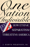 Book One Nation Indivisible: How Ethnic Separatism Threatens America free