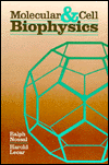 Book Molecular And Cell Biophysics free