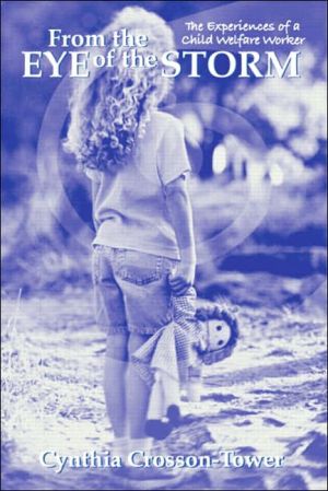 Book From the Eye of the Storm: The Experiences of a Child Welfare Worker free