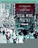 Book Techniques and Guidelines for Social Work Practice (6th Edition) free