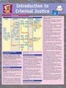Book Study Card For Introduction Criminal Just free