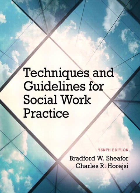 Book Techniques and Guidelines for Social Work Practice free