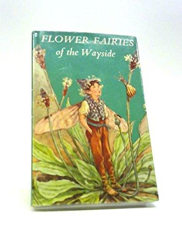 Book Flower Fairies of the Wayside free
